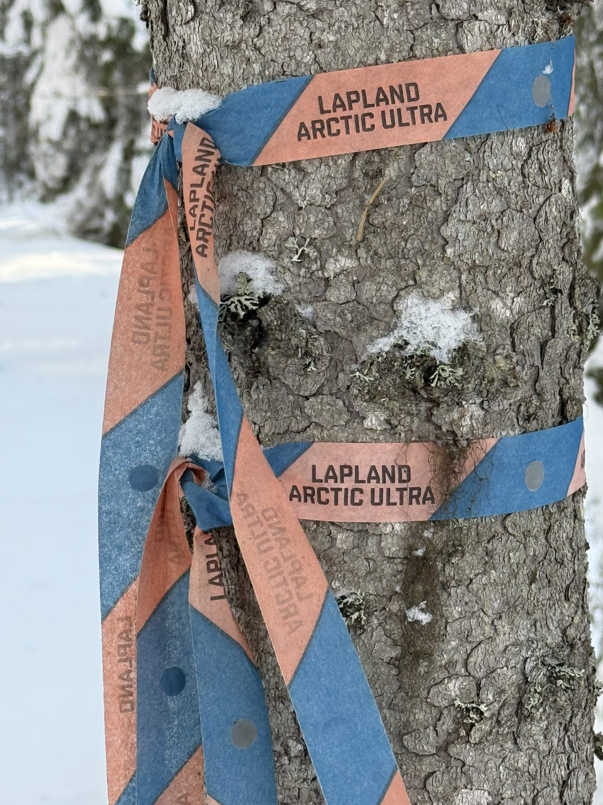 Lapland Arctic Ultra 2026: trail markers. Lose sight of these and you’re on your own