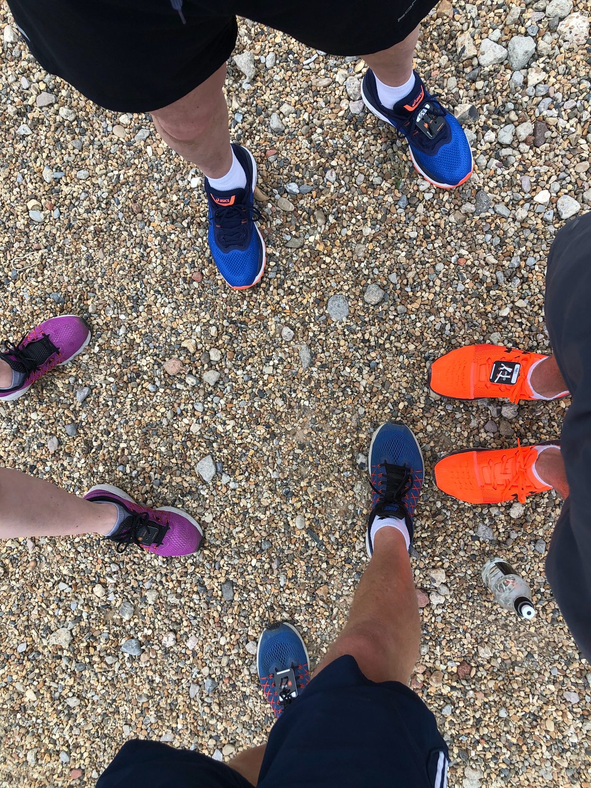 Four pairs of trainers. Guess which are mine